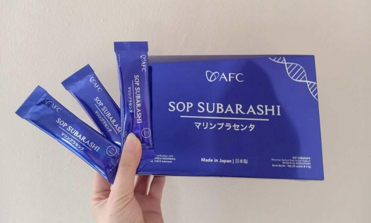 Manfaat SOP Subarashi Untuk Ginjal
